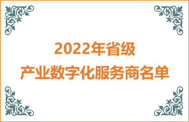 2022年省級產業(yè)數(shù)字化服務商